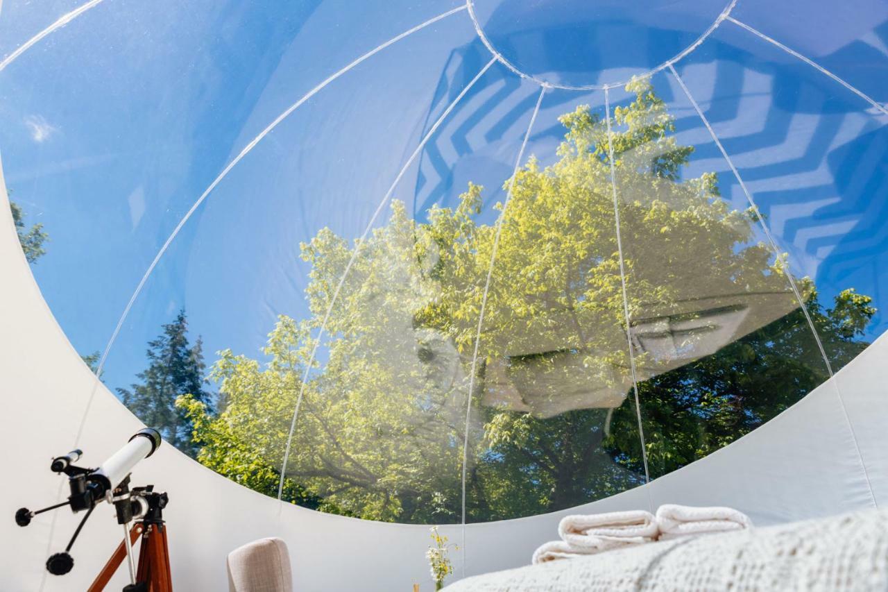 Somn'en bulle Otel Najac Dış mekan fotoğraf