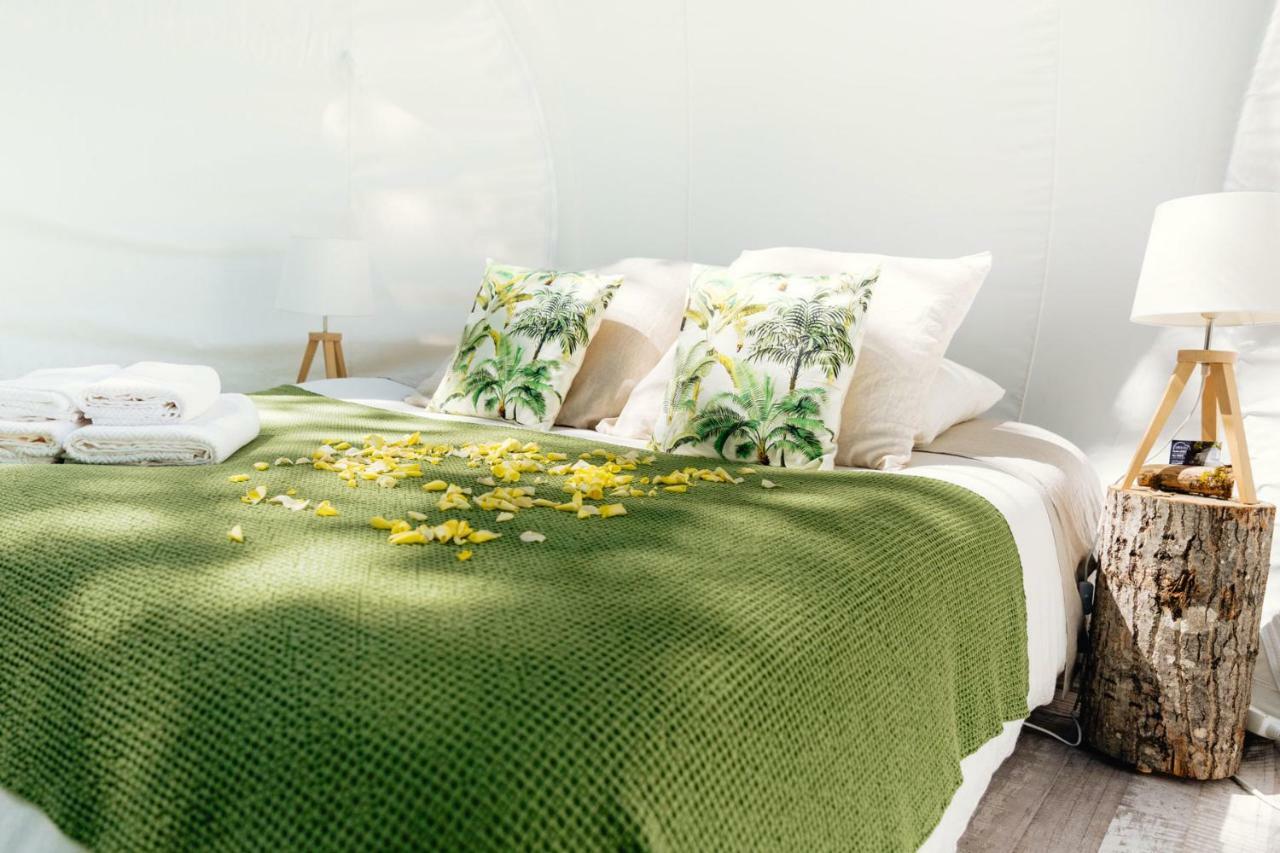Somn'en bulle Otel Najac Dış mekan fotoğraf